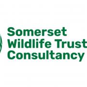 First Ecology has rebranded as Somerset Wildlife Trust Consultancy (SWTC)