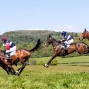 Point to Point Racing in Wessex