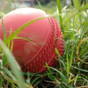 Weekend of mixed results for Taunton St Andrews cricket teams