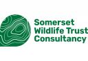 First Ecology has rebranded as Somerset Wildlife Trust Consultancy (SWTC)