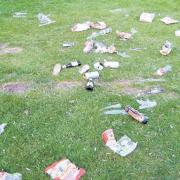 Litter in Vivary Park back in 2011