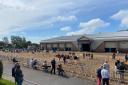Cornish Mutual Livestock arena.