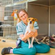 Wellington veterinary centre honoured with prestigious award