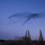 Photos of the murmuration of starlings near Obridge, Taunton, 2010. Email your photos to newsdesk@countygazette.co.uk