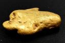 The largest gold nugget found by Somerset treasure hunter