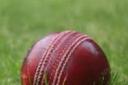 Cricket ball stock