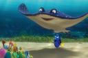 FISHY TAIL: Finding Dory