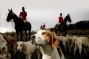 DIVISIVE: Foxhunting is back on the agenda