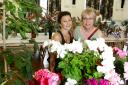 Linda Hewlett, left, and Meryl Salter with some of their blooms