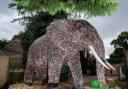 The giant elephant heading to Vivary Park. Picture: Waste Care