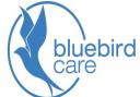 Outstanding care from Bluebird Care - Anna Ulrico's journey