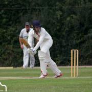 SHOT: Wellington cricketer Alex Sparks (pic: Timmy Badger Photography)
