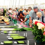 A picture from this year's Taunton Flower Show.