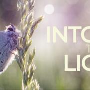 The Into the Light event will take place in May