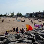 A public consultation of locals to the Minehead area favoured a total ban of dogs from the beach.