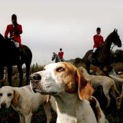 DIVISIVE: Foxhunting is back on the agenda