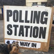 The real fun of election day - #DogsatPollingStations across Somerset