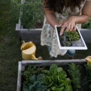 ADVICE: A person using an iPad with SmartPlant. Picture: SmartPlant/PA