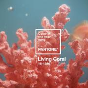 COLOUR OF THE YEAR 2019: Pantone® 16-1546 Living Coral