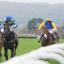 Photos from one of the biggest meetings of the year at Taunton racecourse.