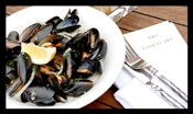 The New Sanctuary Exmouth Mussles
