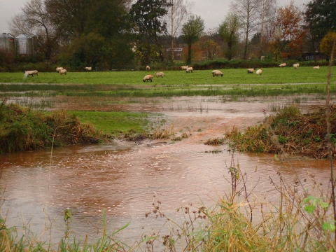Flooding in North Newton