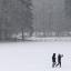 Walkers in the Scottish Borders as heavy snow hits areas around Scotland