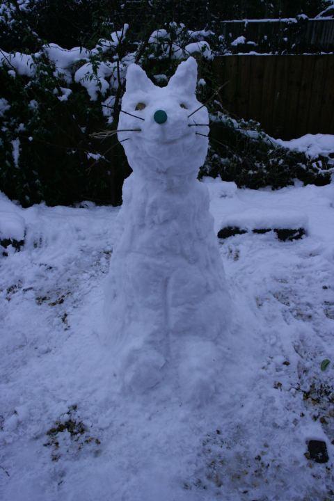 Snowcat.