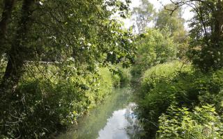 The project is spearheaded by the Yeovil Rivers Community Trust (YRCT)