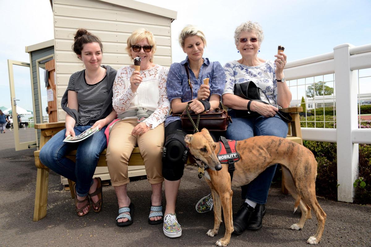 COOLING OFF: Jay-Jaye and Susie White, Hannah Carter and Margaret Leach with Walnut Whippet