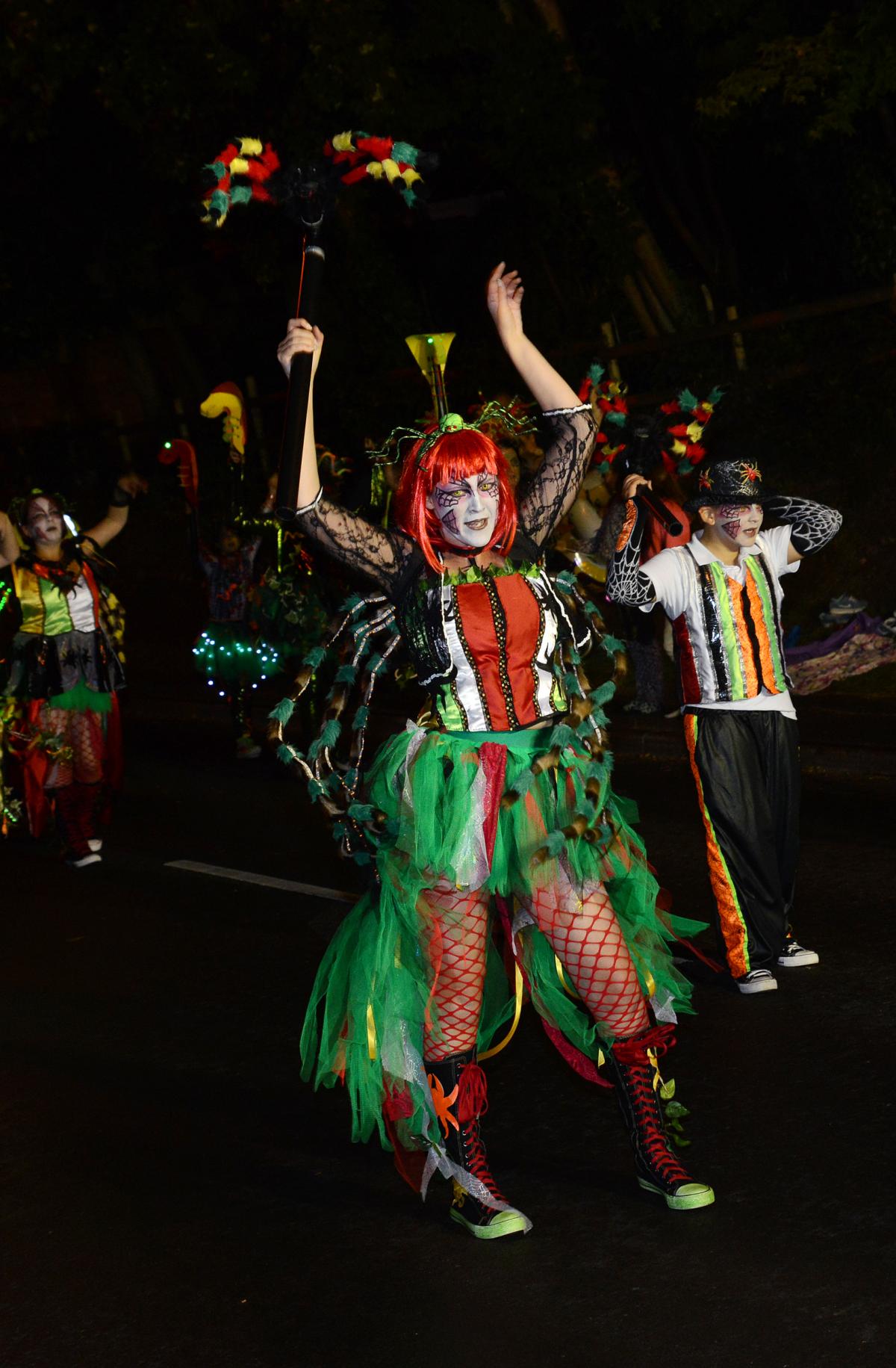 Pictures from Wellington's 2016 Carnival by Ash Magill