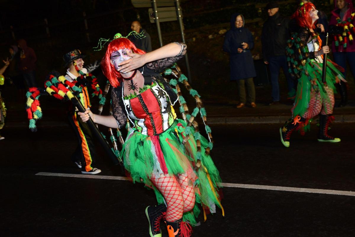 Pictures from Wellington's 2016 Carnival by Ash Magill