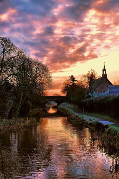 VIBRANT: The Taunton Bridgwater Canal at Creech St Michael. PICTURE: Rose Sarah MacAuslan. PUBLISHED: May 4, 2017