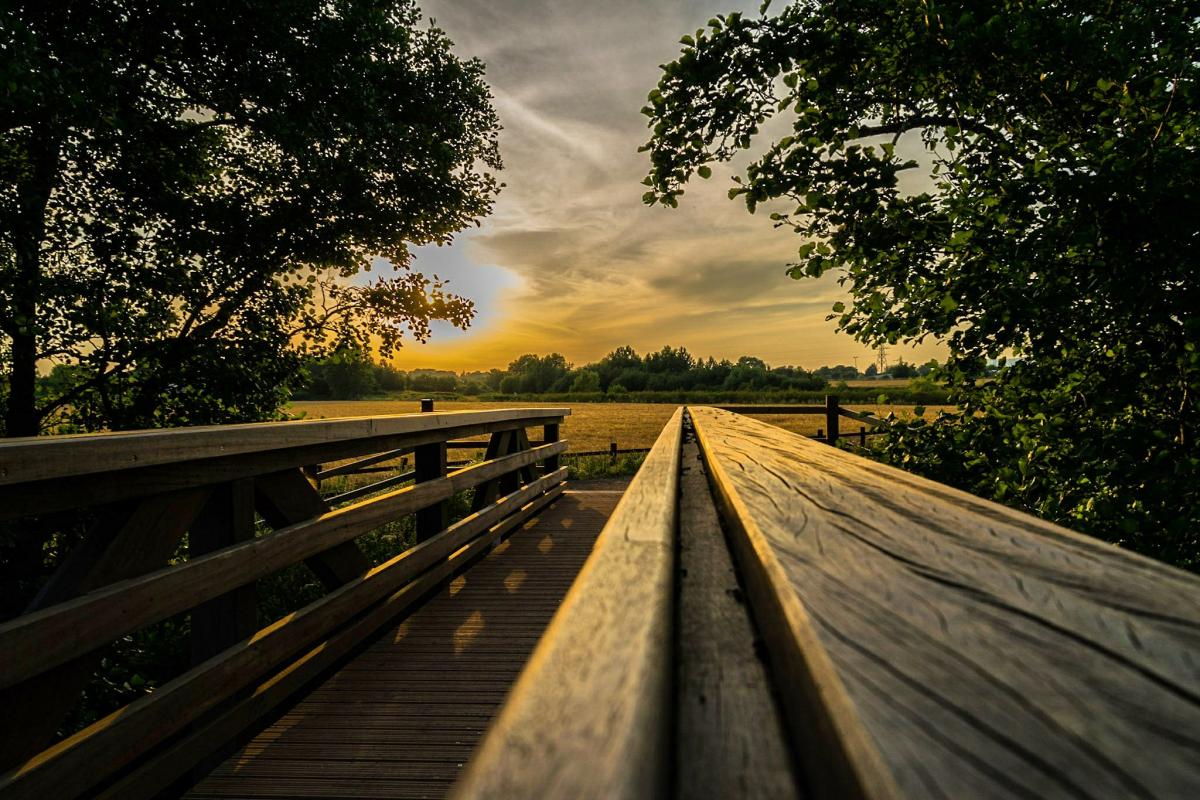WALKWAY: Sunset at Roughmoor. PICTURE: Damon Holmes. PUBLISHED: June 29, 2017