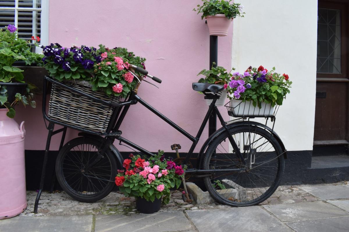 PARKED UP: A bicycle blooms outside a house in Dunster. PICTURE: Cheryl Lee-White. PUBLISHED: June 29, 2017
