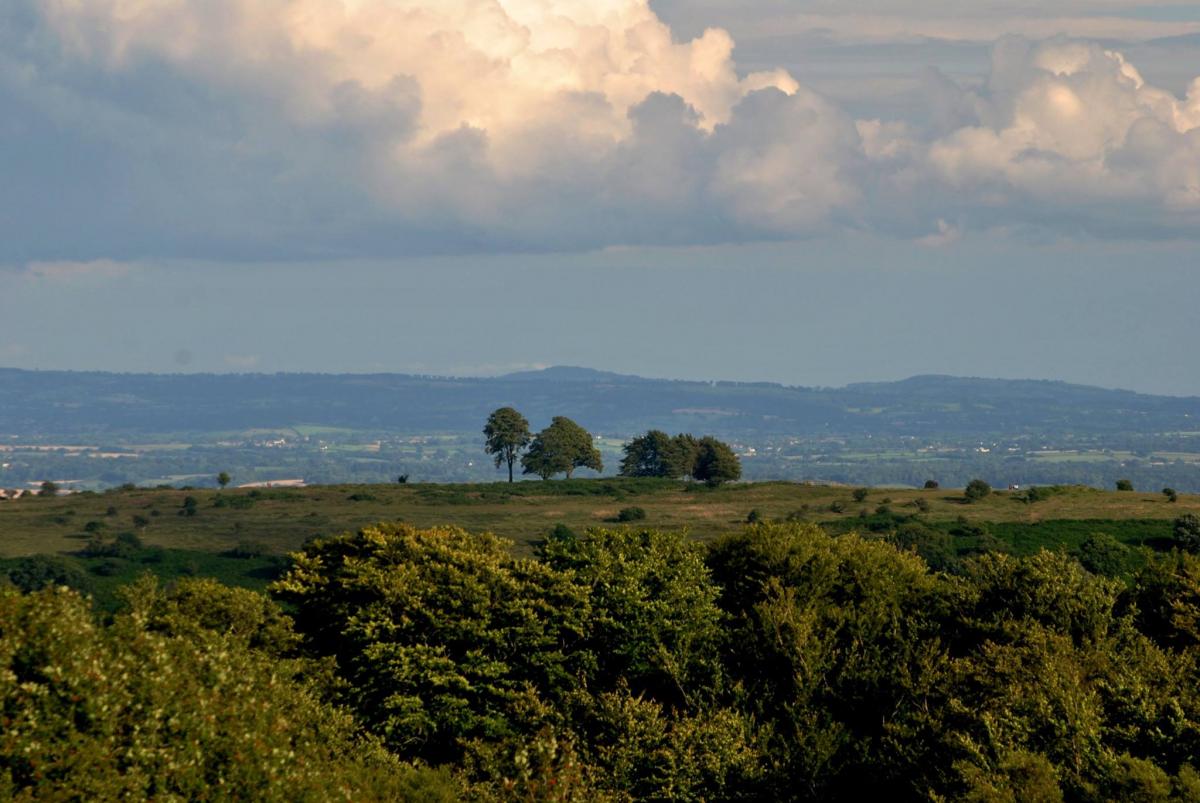 Cothelstone from Lydeard Hill, by Chris Beer