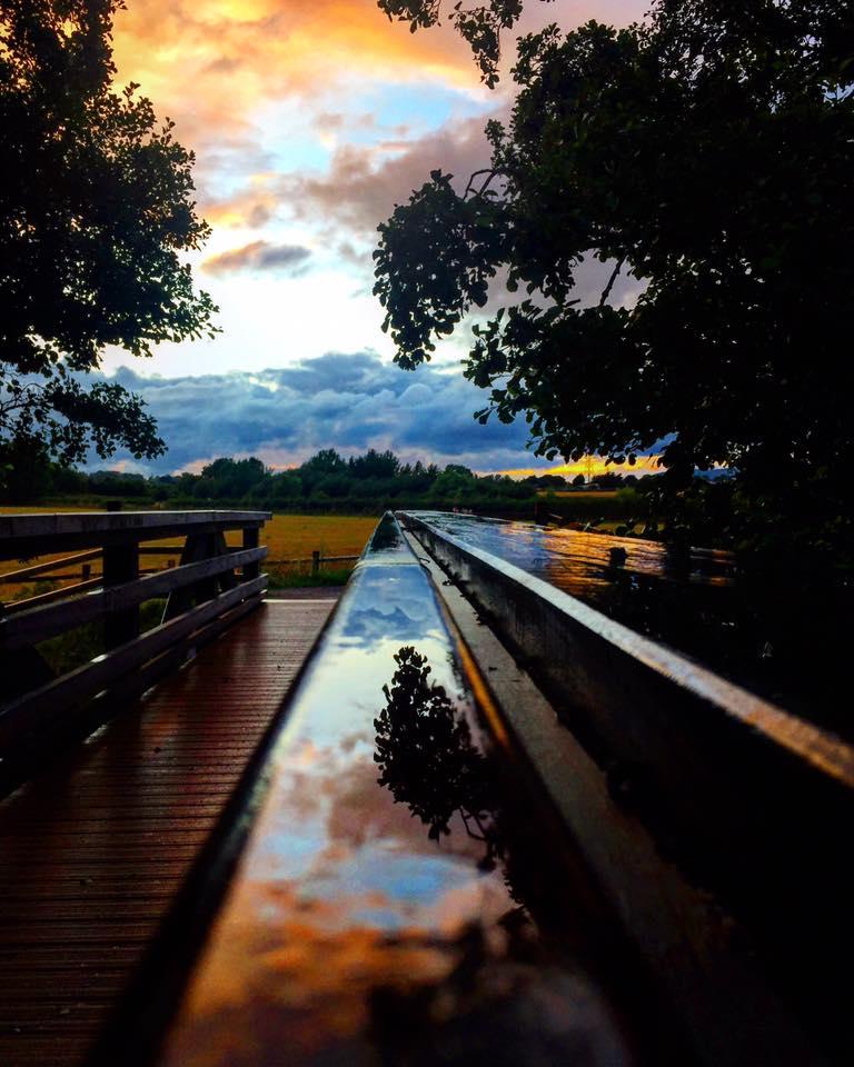REFLECTIONS: At Longrun Meadow. PICTURE: Paulette McConnell. PUBLISHED: August 3, 2017.