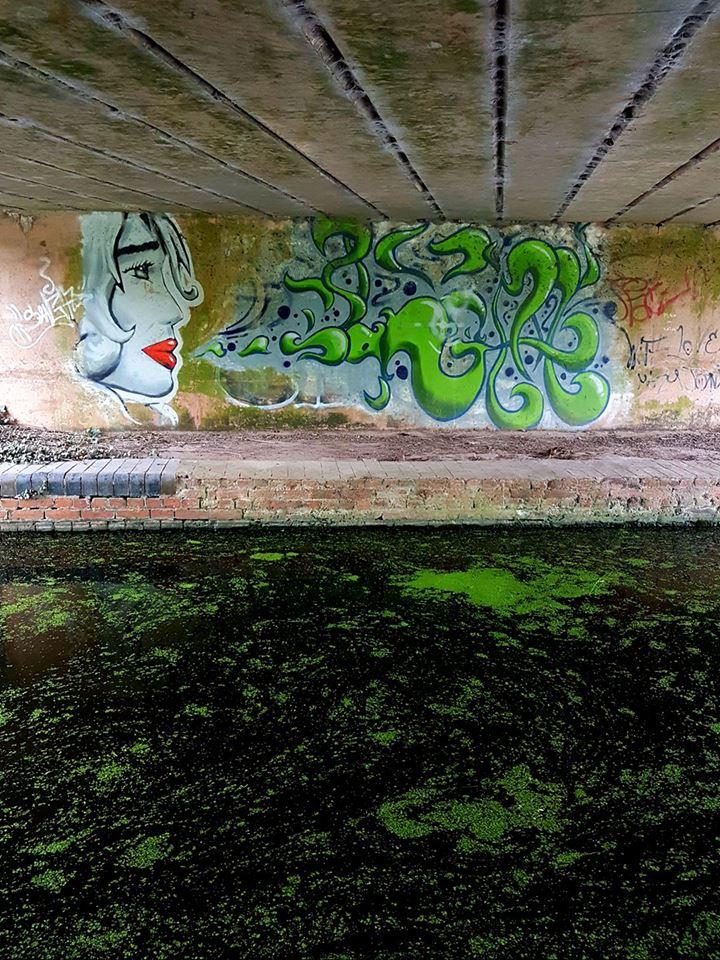BEAUTY: Grafitti along the Taunton Bridgwater Canal. PICTURE: Natalie Watson. PUBLISHED: August 3, 2017.