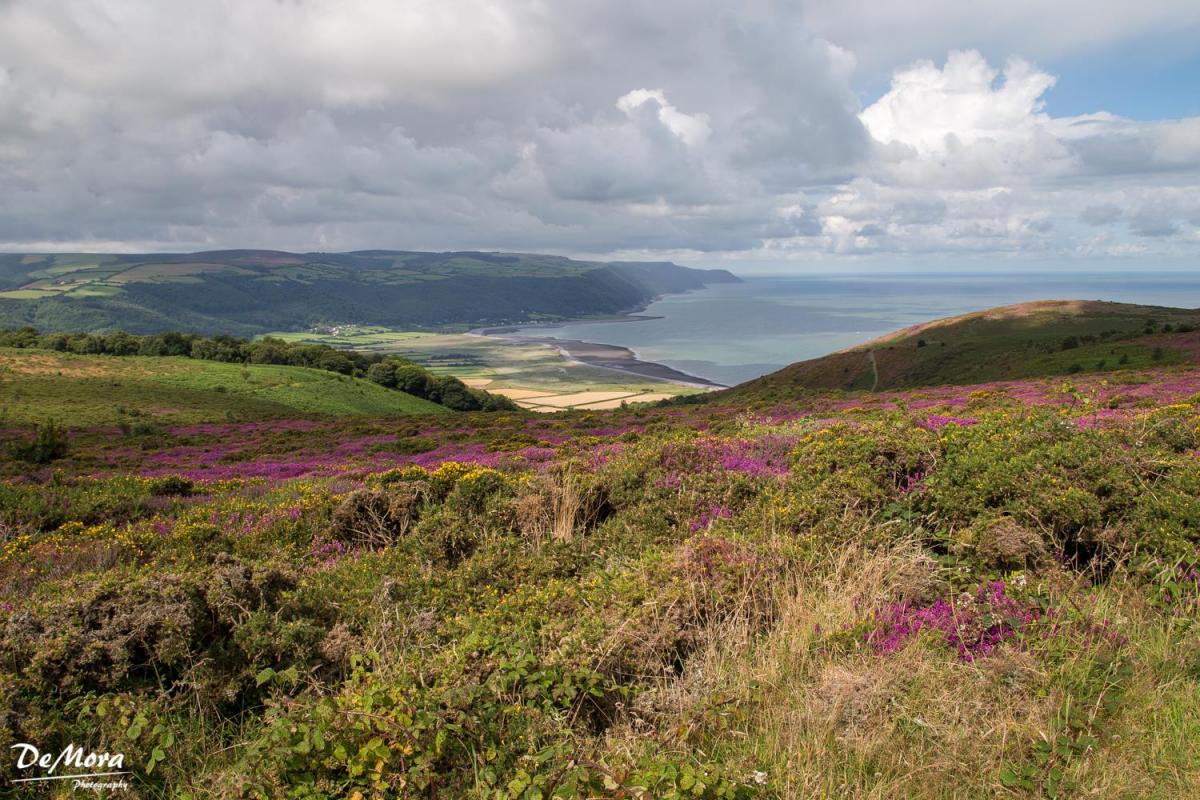 COAST: Towards Porlock from North Hill. PICTURE: Andrew de Mora. PUBLISHED: August 10, 2017.
