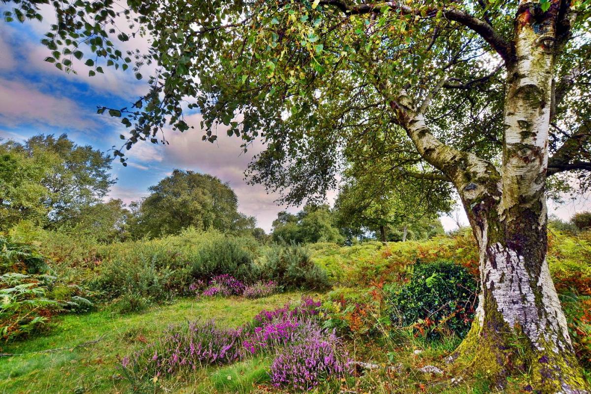 Colours on the Quantocks, by Graeme Neal