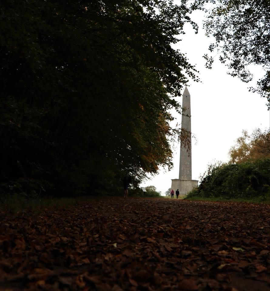 STROLL: At Wellington Monument. PICTURE: Andrew Murphy. PUBLISHED: October 19, 2017