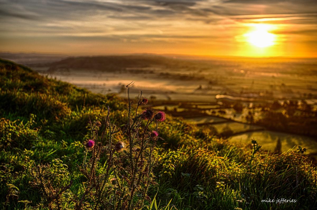 An autumn view at Glastonbury, by Mike Jefferies