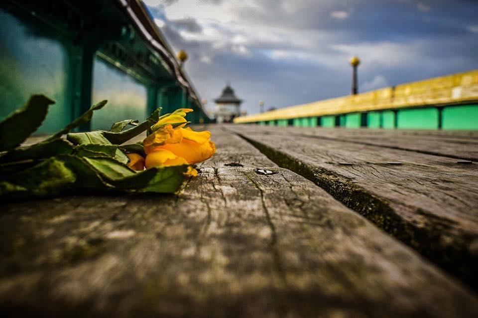 FALLEN: At Clevedon Pier by Zoe Cox. PUBLISHED: November 2, 2017