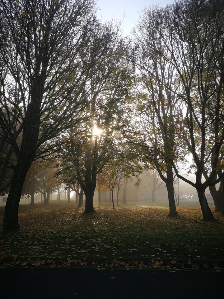 MISTY MORNING: In Crewkerne PICTURE: Alison Barton. PUBLISHED: November 9, 2017