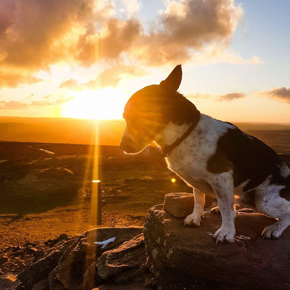 TOP OF THE WORLD: At Dunkery Beacon PICTURE: Robin Howe. PUBLISHED: November 30, 2017