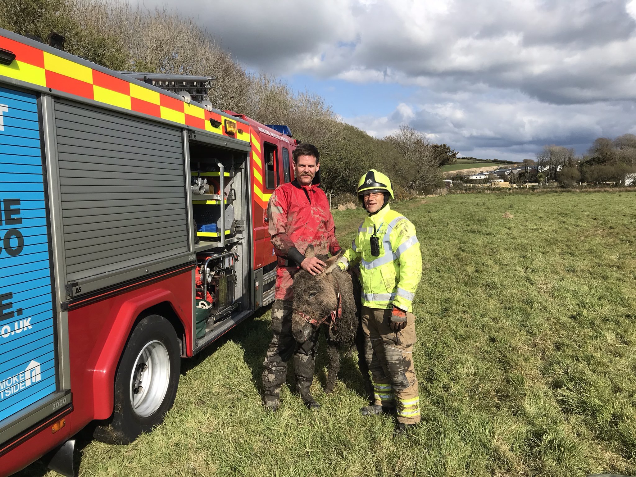 Firefighters with a safe donkey Patrick after the rescue