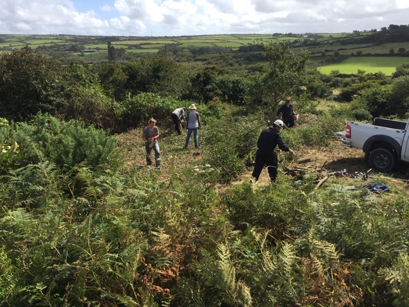 King Edward Mine volunteers tidying the site