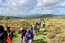 Hikers enjoying a walk in Exmoor National Park