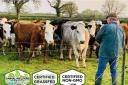 The Slow Farming Company in Castle Cary. Picture: A Greener World