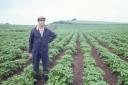 Wesley Wyatt with 100 acres of potatoes. Photo: Wesley Wyatt